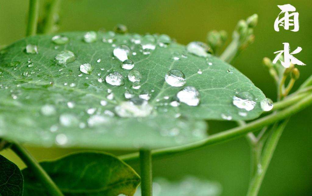 雨水！